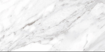 Ceracasa North Gloss White 49,1x98,2 керамогранит